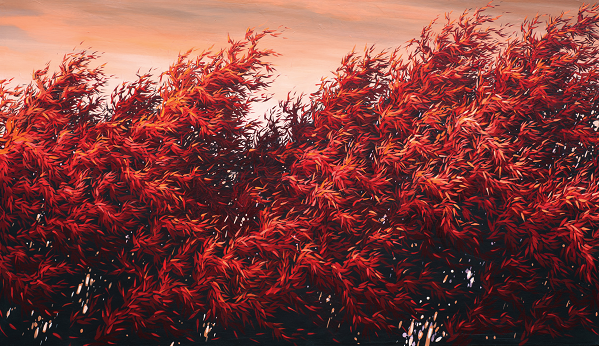 바람 붉은대숲 2014