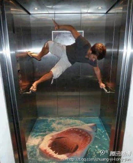 엘리베이터안에 상어가 있어요